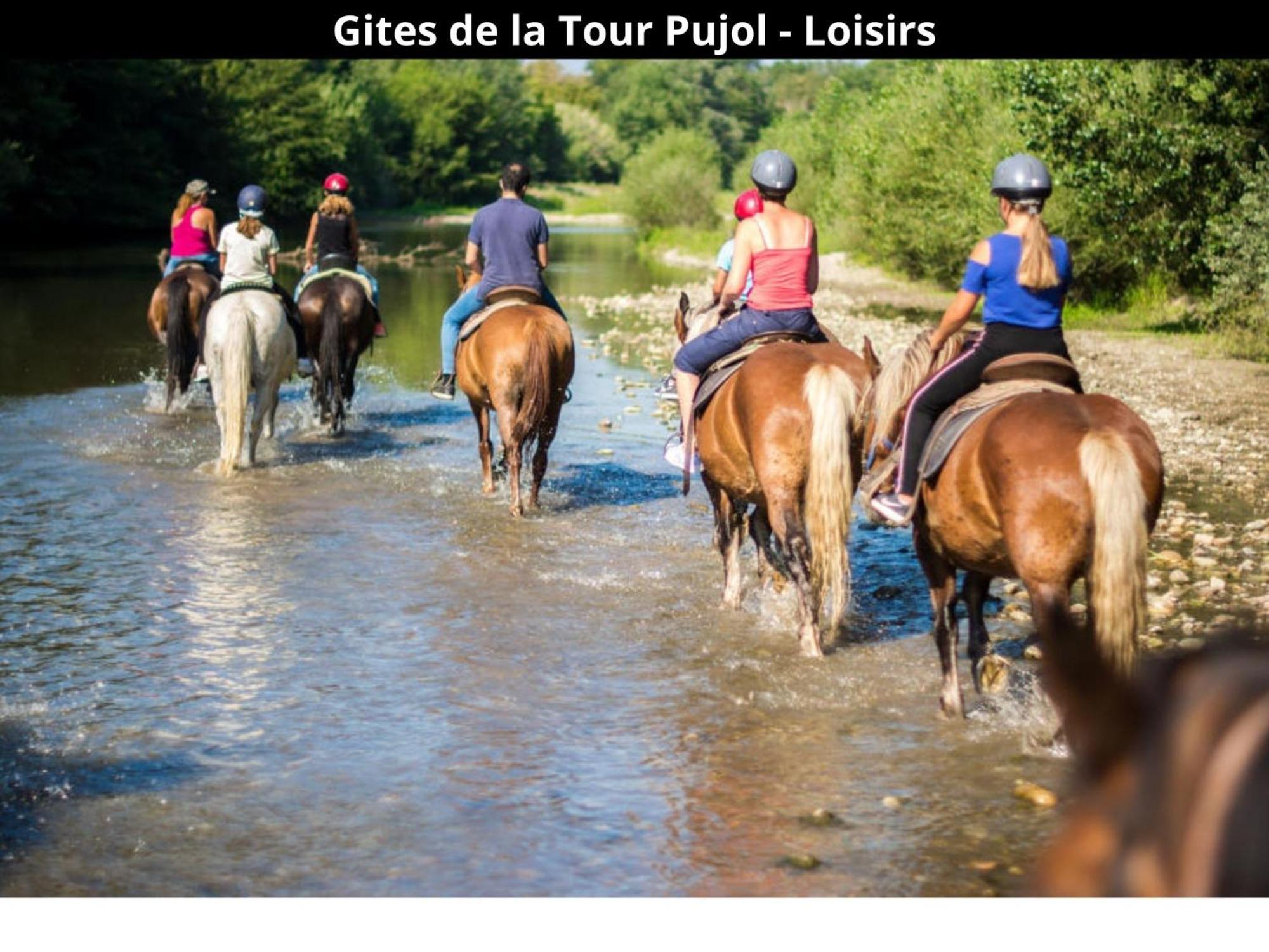 Les Gites De La Tour Pujol Argeles-sur-Mer Luaran gambar