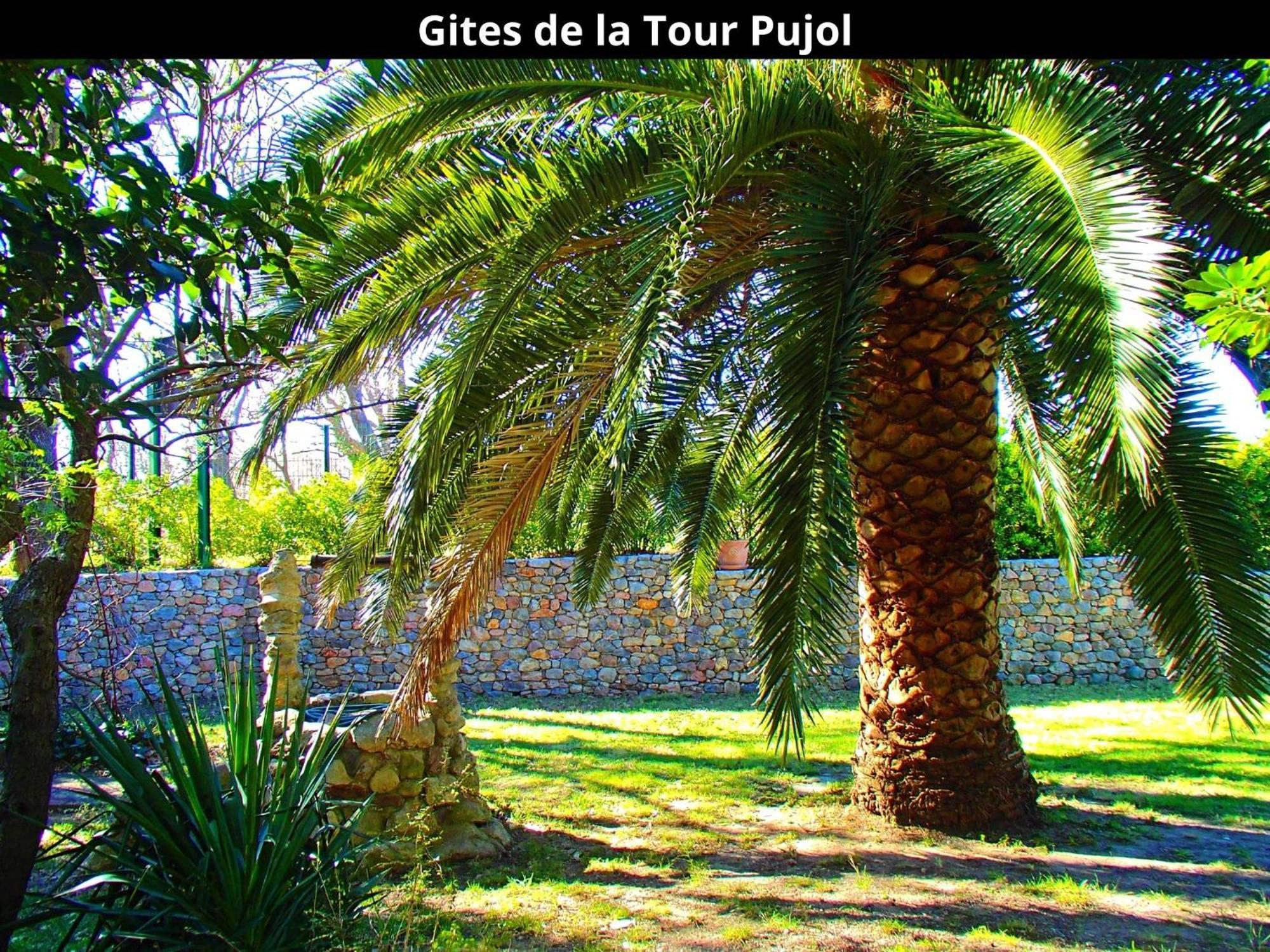 Les Gites De La Tour Pujol Argeles-sur-Mer Luaran gambar